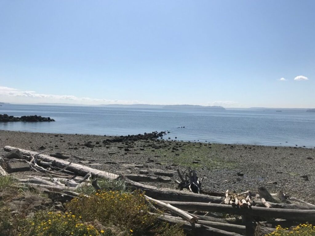 Cozy 1 Bedroom Apartment Near Beach